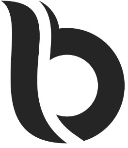 logo banfigroup.pl